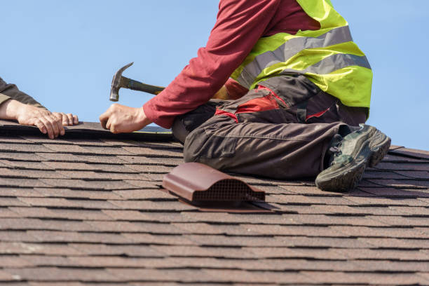 Roof Gutter Cleaning in Ecorse, MI