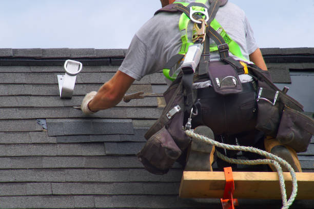 Best Roof Repair Services  in Ecorse, MI