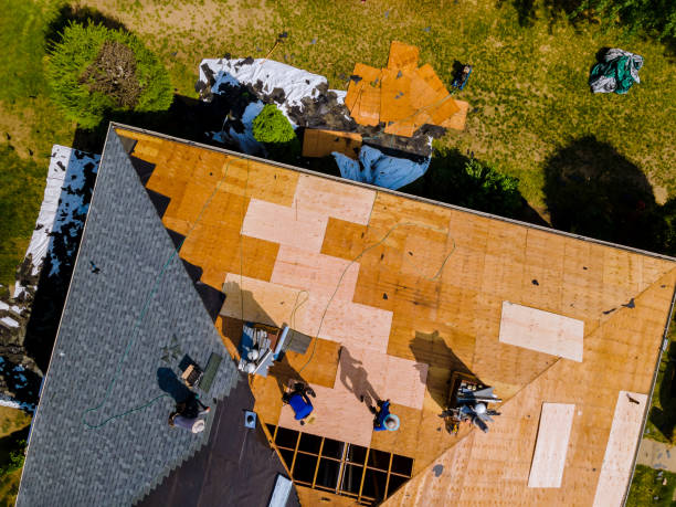 Best Storm Damage Roof Repair  in Ecorse, MI