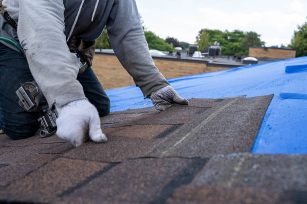 Best Roofing Contractors for Homes  in Ecorse, MI