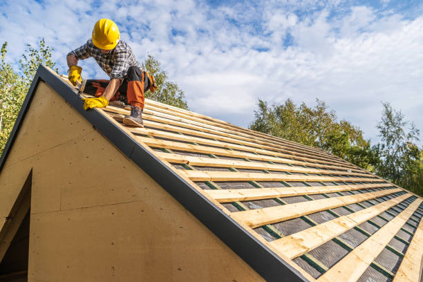 Best Roof Leak Repair  in Ecorse, MI