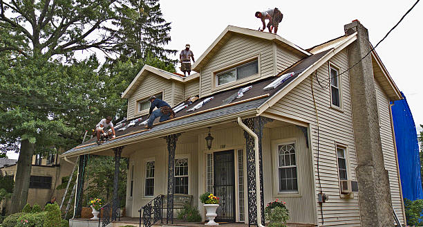 Best Roof Leak Repair  in Ecorse, MI