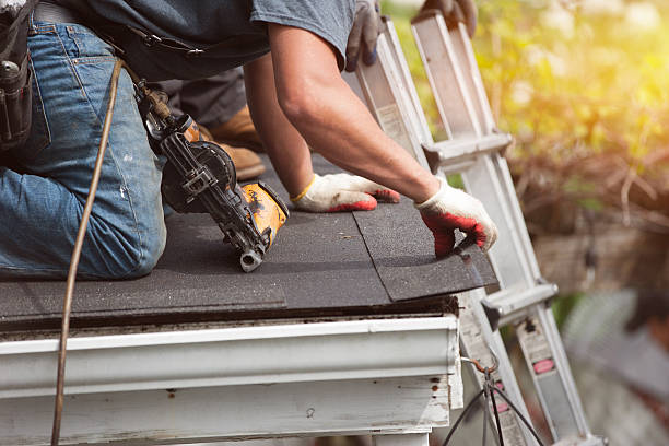 Best Flat Roof Repair Services  in Ecorse, MI