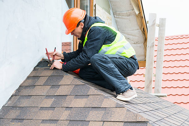 Best Roof Gutter Cleaning  in Ecorse, MI