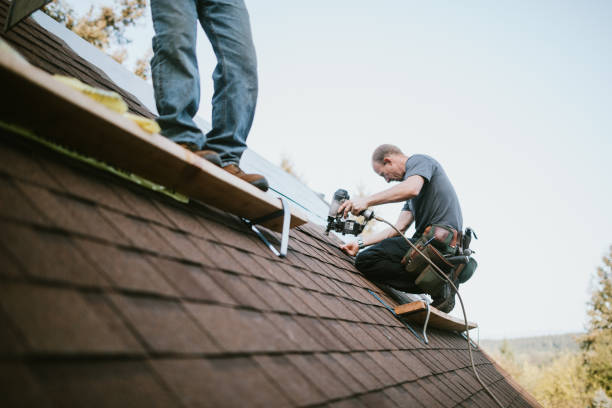 Quick and Trustworthy Emergency Roof Repair Services in Ecorse, MI
