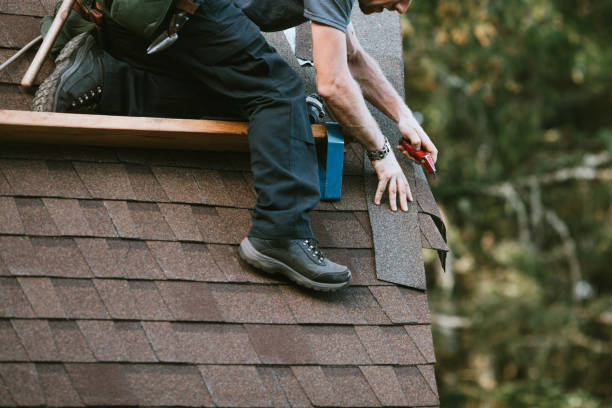 Best Local Roofing Companies  in Ecorse, MI